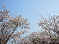 0407入準備④.JPG