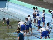 0613水泳③2.JPG
