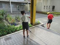 0719くわがた①1大.JPG