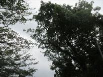 IMG_3568_R.JPG