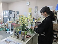 水仙の花