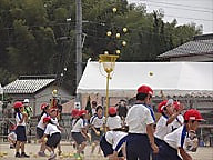 運動会写真集