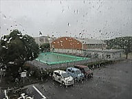 今日も雨・・・