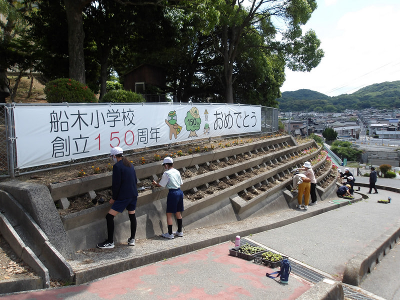 6年 ひまわりの苗植え