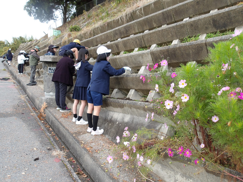 6年 花の苗植え
