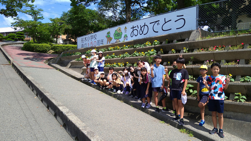 6年 ヒマワリの花