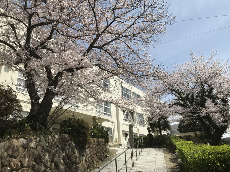 学校紹介