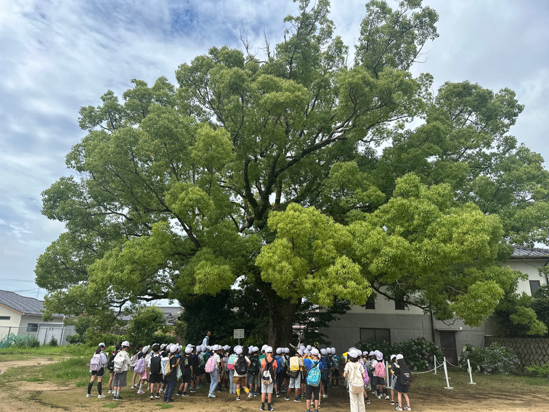 東岐波地域探検(3年生)