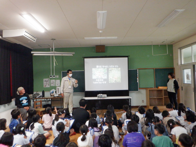 ミニトマトの学習(2年生)