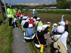 DSC03878.JPG