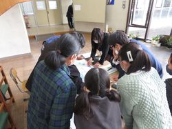 IMG_8559.JPG