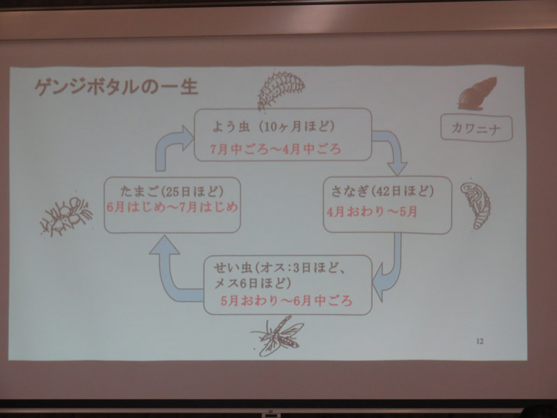 3年生環境学習