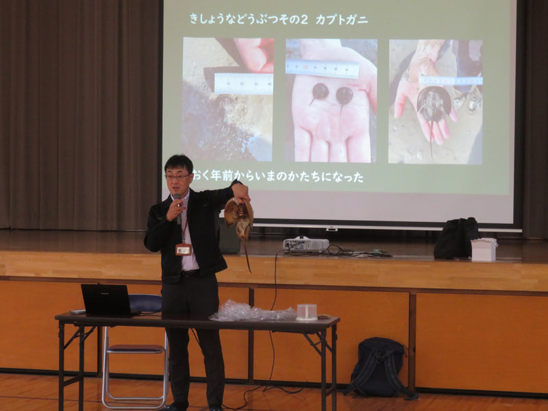 希少な動物