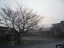 ○P1050425.JPG