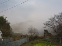 ○P1050427.JPG