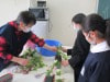 20010317 arenzi02.jpg