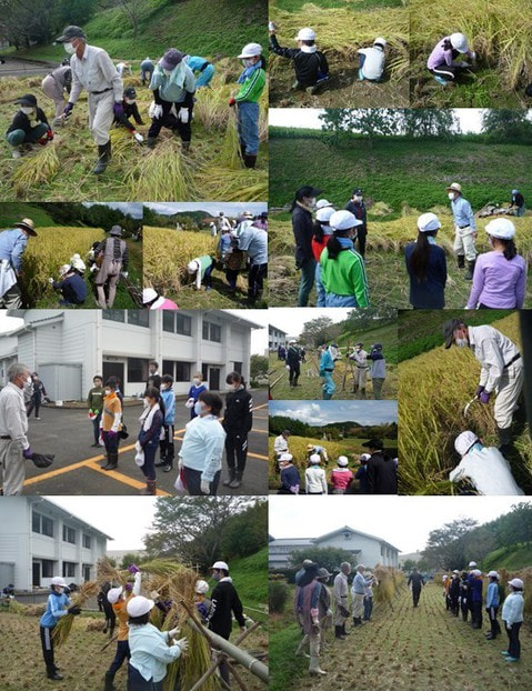20210927　inekari.jpg