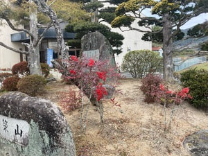 2022-01-05 kibeshou02.JPG