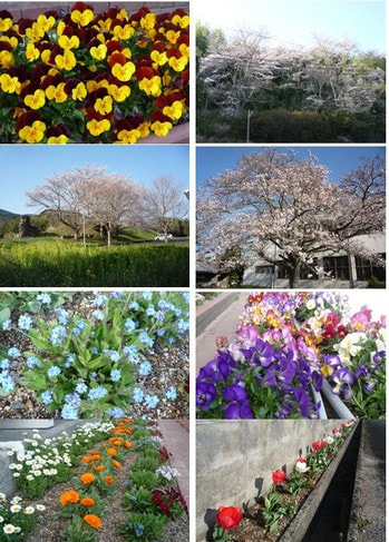 2022-03-29 spring.jpg