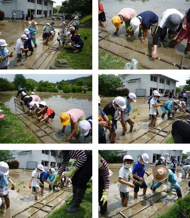 2022-05-23 taue02.jpg