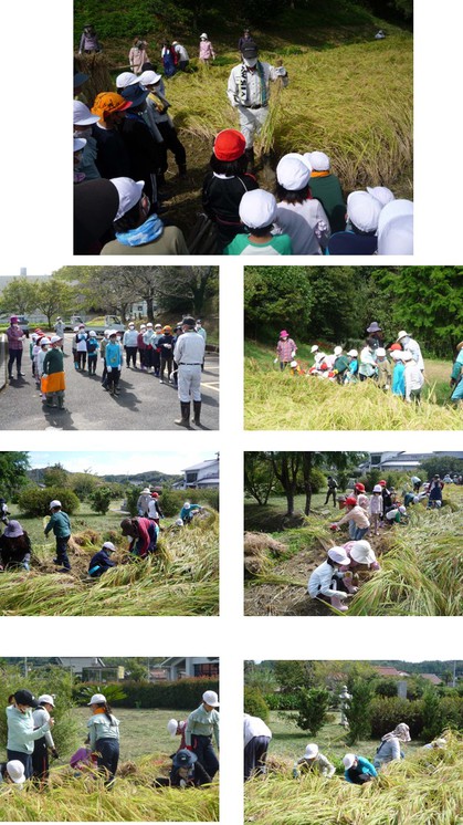 2022-09-22 inekari00.jpg