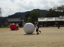 DSC02936.jpg