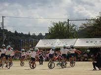 DSC02944.jpg