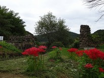 DSC02972.jpg