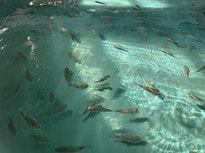 IMG_1686.jpg