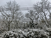 IMG_4050.jpg