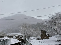 IMG_4053.jpg