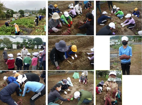 imohori_20211012.jpg