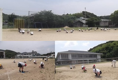kusanuki_20210614.jpg