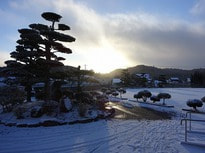 pDSC03260.jpg