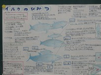 pP1090017.jpg