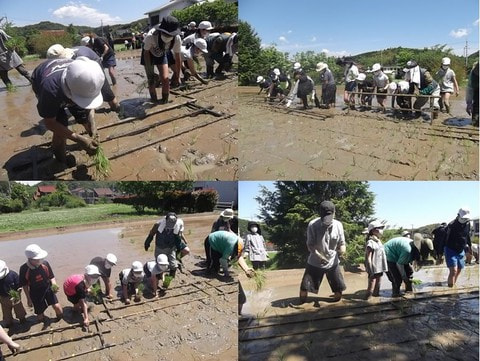 taue_20210519.jpg
