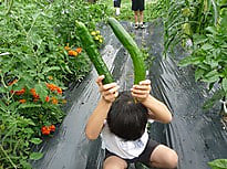 お野菜 ぐんぐん ❕