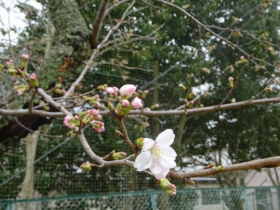 令和5年度 修了式