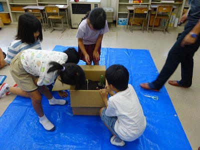 段ボールコンポスト体験学習