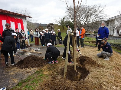桜を植えました!