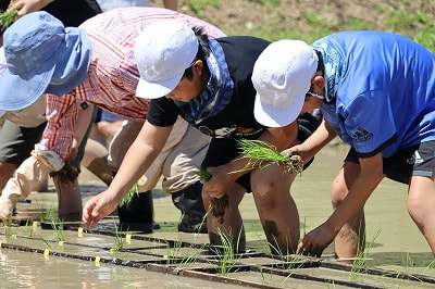 田植えをしました!