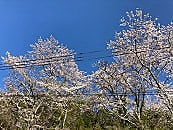 今日から新年度です!