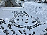 吉部小風景をどうぞ~雪の日編~