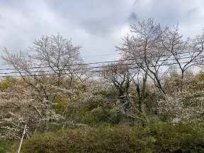 吉部小学校風景をどうぞ!