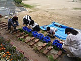 元気に芽が出てほしいな!