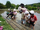 田植え、お世話様になりました!
