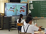 歯の健康週間(7/4~7/19)です!