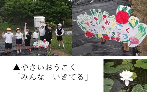 yasaioukoku_20210521.jpg