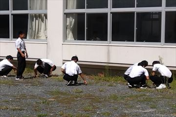 IMG_2023-09-13-12-59-03-536_R.jpg