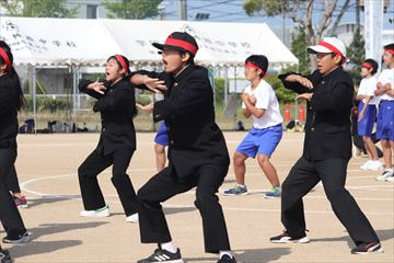 IMG_6803_R.JPG